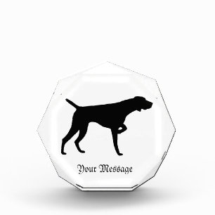 German Shorthaired Pointer Award
