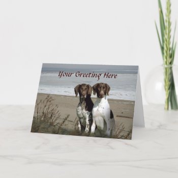 German Shorthaired Pointer Beach Greeting Card by normagolden at Zazzle