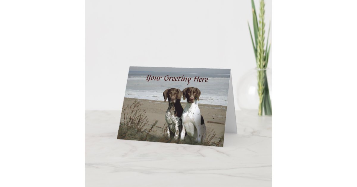 German Shorthaired Pointer Beach Greeting Card | Zazzle