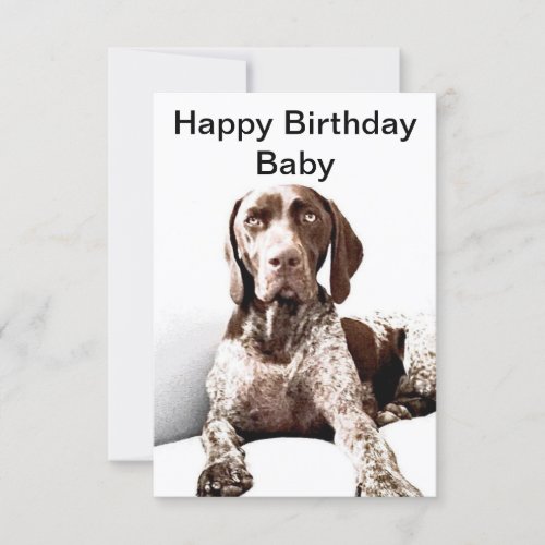 German Shorthaired Pointer Birthday Card