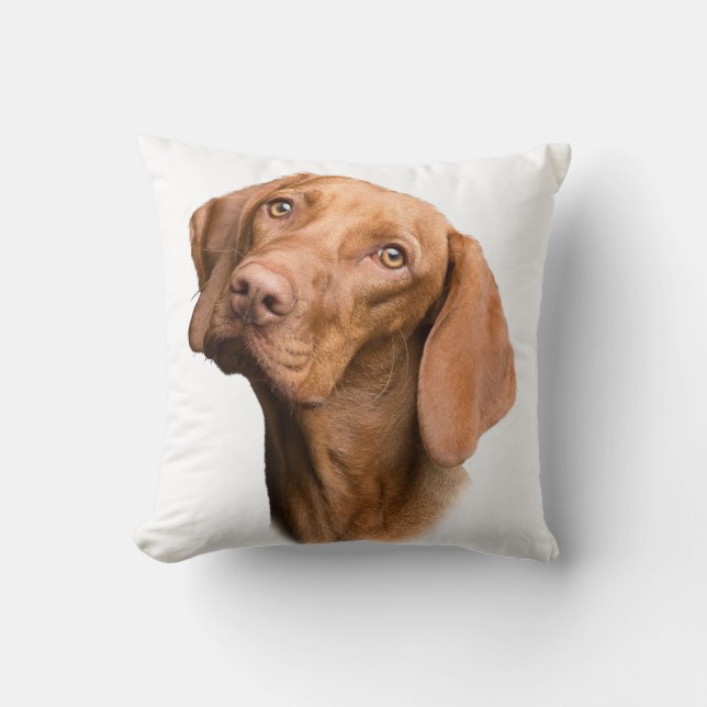 German Shorthaired Pointer Brown Dog Throw Pillow (Front)
