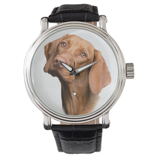 German Shorthaired Pointer Brown Dog Watch (Front)