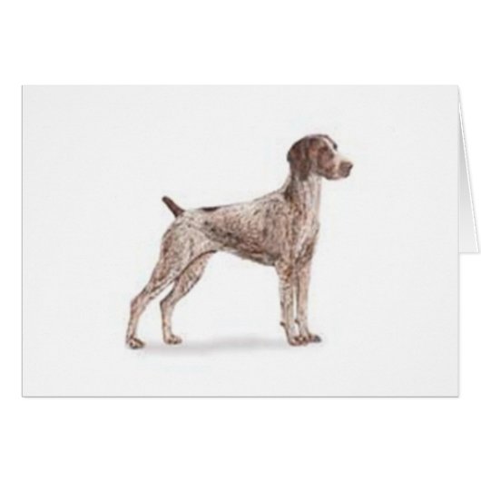 German Shorthaired Pointer Cards (Front Horizontal)