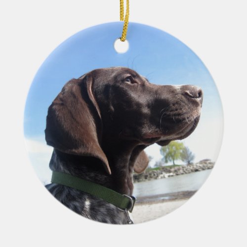 German Shorthaired Pointer Ceramic Ornament