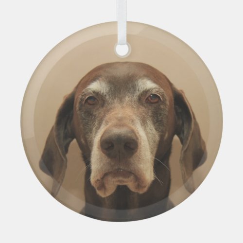 German shorthaired pointer christmas  glass ornament