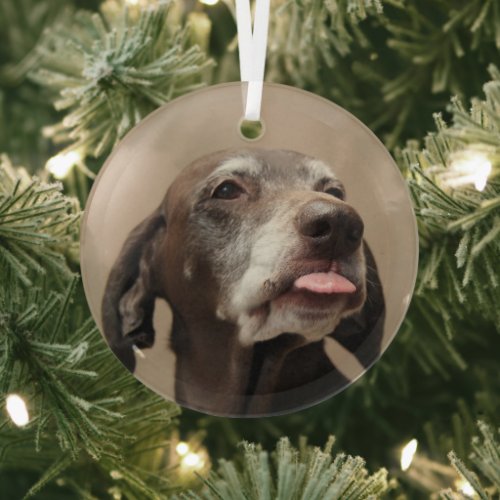 German shorthaired pointer christmas  glass ornament