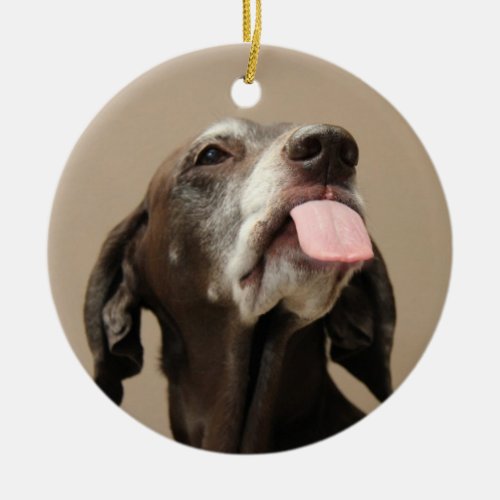 German shorthaired pointer christmas ornament