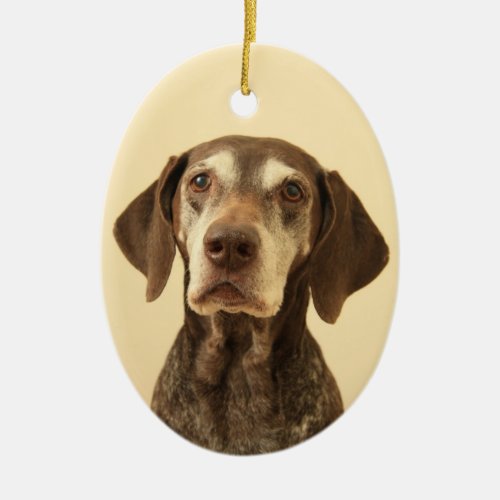 German shorthaired pointer christmas ornament