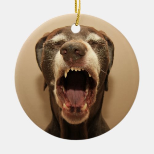 German shorthaired pointer christmas ornament