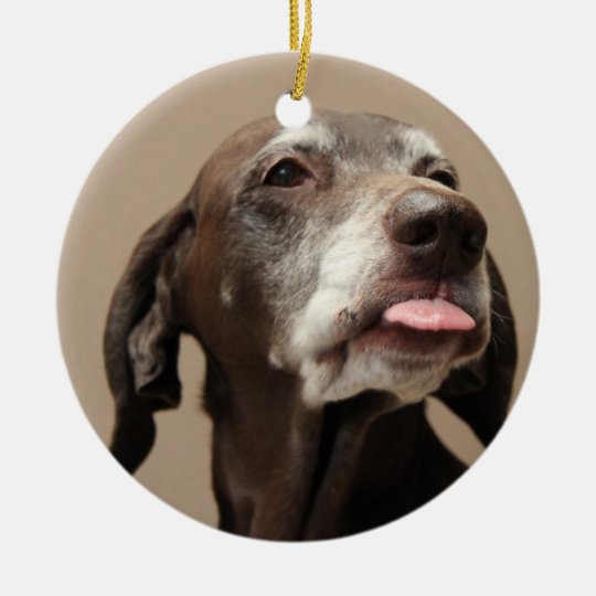German shorthaired pointer christmas ornament | Zazzle.com