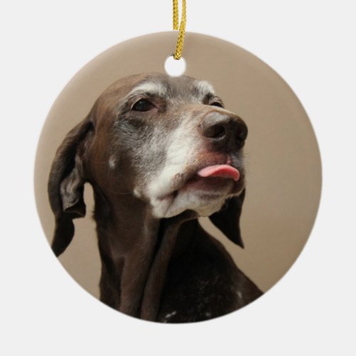 German shorthaired pointer christmas ornament