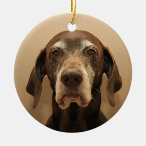 German shorthaired pointer christmas ornament