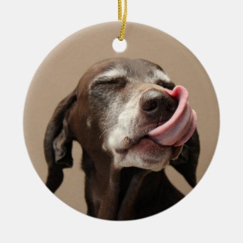 German shorthaired pointer christmas ornament