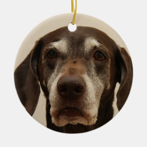 German shorthaired pointer christmas ornament