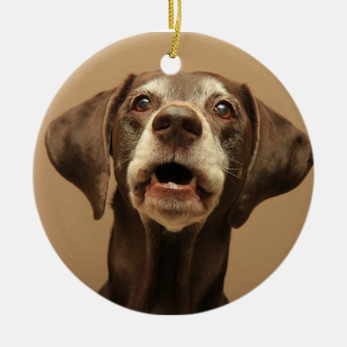 German shorthaired pointer christmas ornament