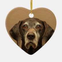 German shorthaired pointer christmas ornament