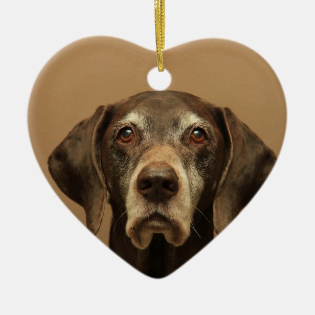 German shorthaired pointer christmas ornament (Front)