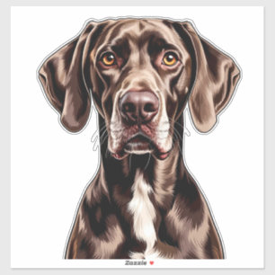 German Shorthaired Pointer Close-Up Portrait Sticker