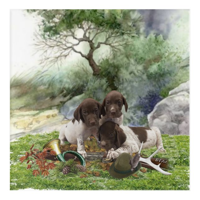 German Shorthaired Pointer cute  puppies Acrylic Print (Front)