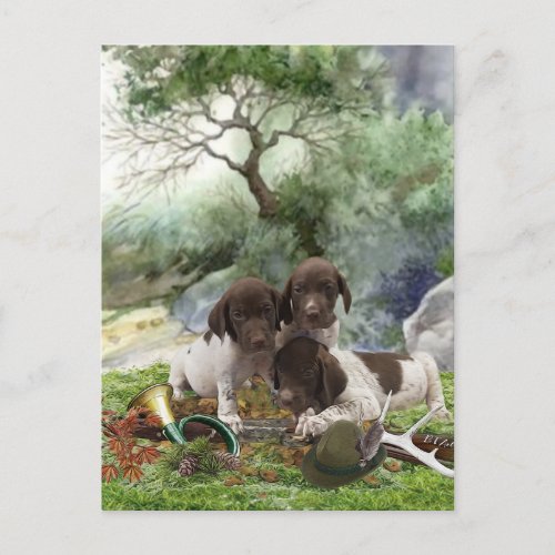 German Shorthaired Pointer cute  puppies     Holiday Postcard