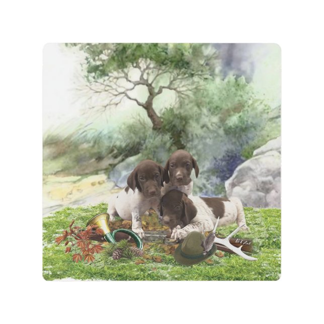 German Shorthaired Pointer cute  puppies   Metal Print (Front)