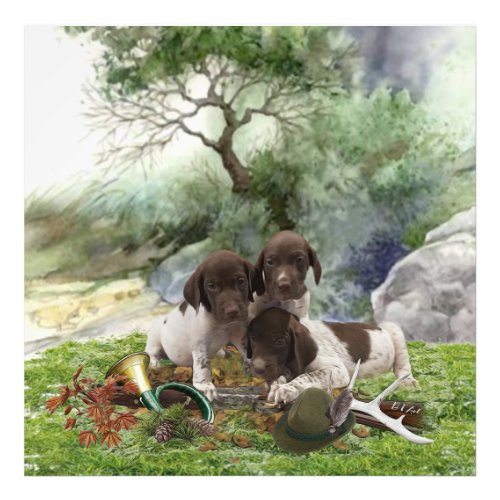 German Shorthaired Pointer cute  puppies   Photo Print