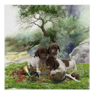 German Shorthaired Pointer cute puppies Poster
