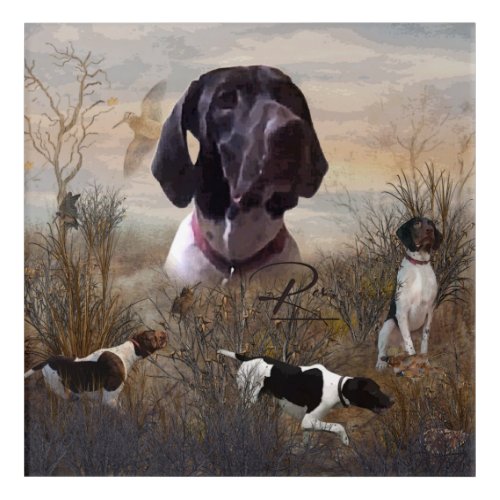 German Shorthaired Pointer Deutsch Kurzhaar Tapes Acrylic Print