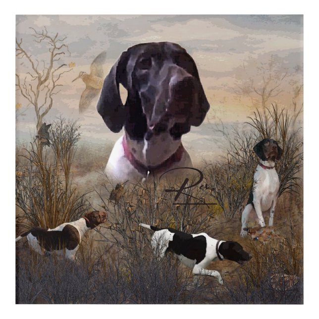 German Shorthaired Pointer, Deutsch Kurzhaar Tapes Acrylic Print (Front)