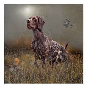 German Shorthaired Pointer ,Deutsch Kurzhaar Tapes Acrylic Print