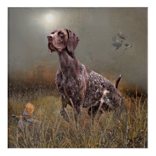 German Shorthaired Pointer Deutsch Kurzhaar Tapes Acrylic Print