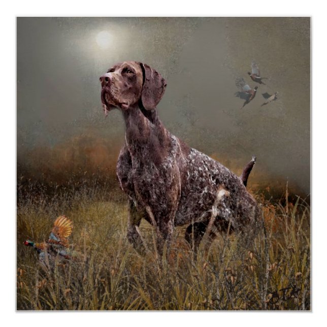 German Shorthaired Pointer ,Deutsch Kurzhaar Tapes Poster (Front)