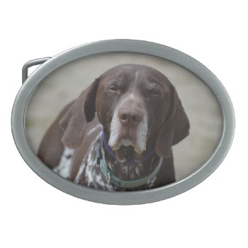 German Shorthaired Pointer Dog Belt Buckle by DogPoundGifts at Zazzle