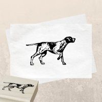 German Shorthaired Pointer Dog Breed