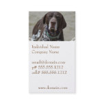 German Shorthaired Pointer Dog Business Card