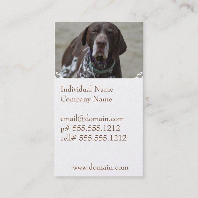 German Shorthaired Pointer Dog Business Card (Front)