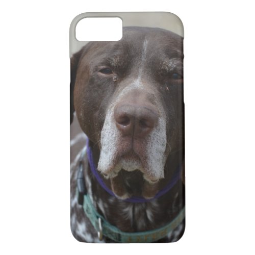 German Shorthaired Pointer Dog iPhone 87 Case
