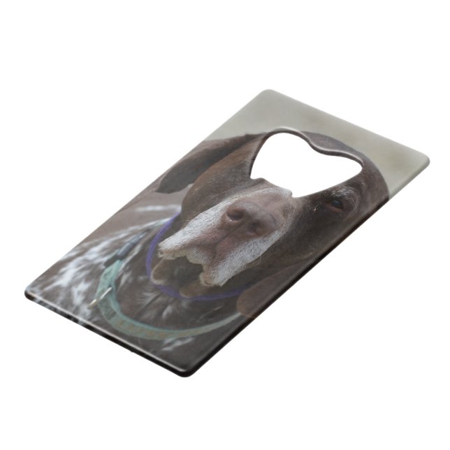 German Shorthaired Pointer Dog Credit Card Bottle Opener (Front Angled)