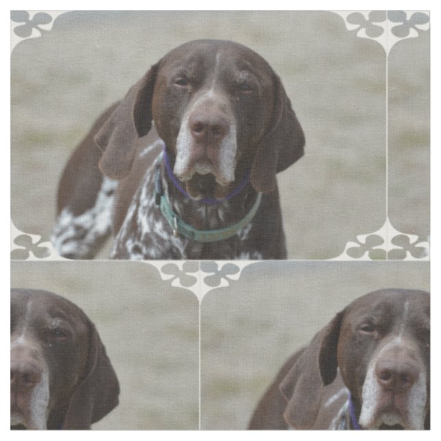 German Shorthaired Pointer Dog Fabric (Close Up)