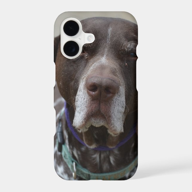 German Shorthaired Pointer Dog Iphone Case (Back)