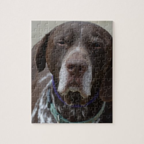 German Shorthaired Pointer Dog Jigsaw Puzzle