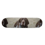 German Shorthaired Pointer Dog Skateboard Deck