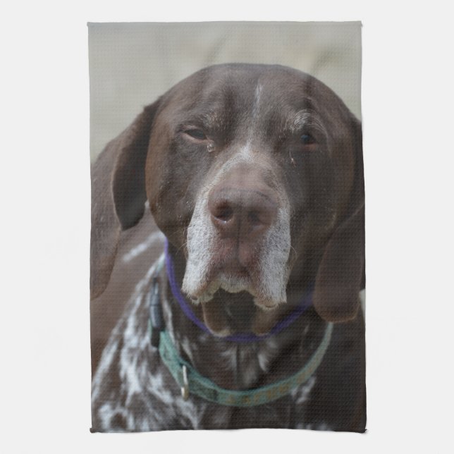 German Shorthaired Pointer Dog Towel (Vertical)