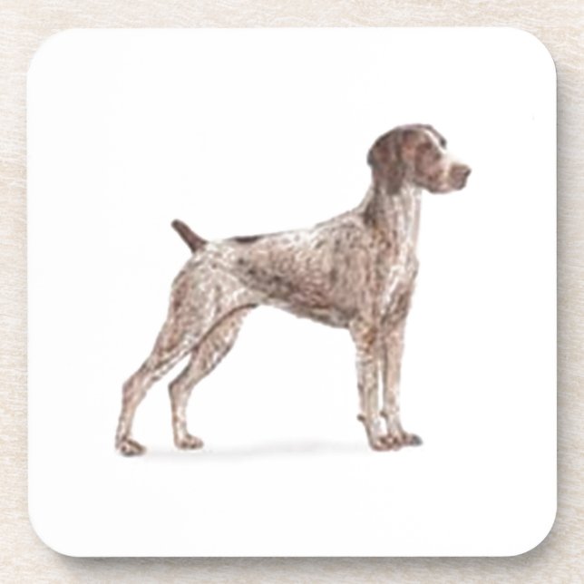 German Shorthaired Pointer Drink Coaster (Front)