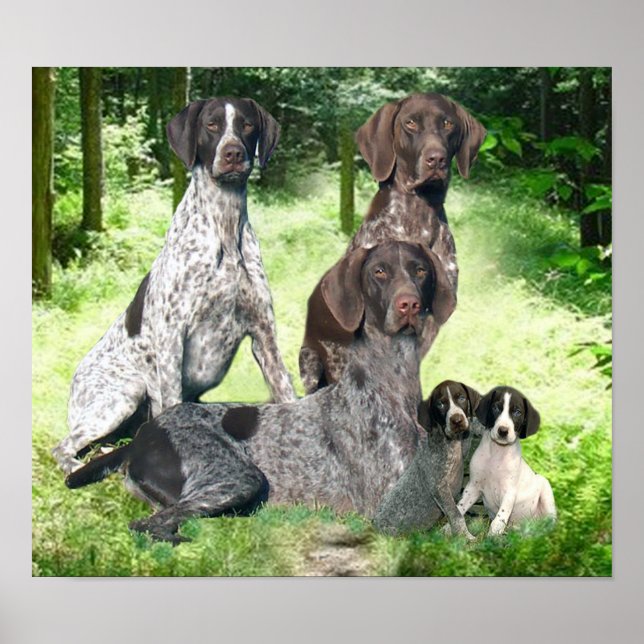 German Shorthaired Pointer Family Print (Front)