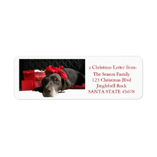 German Shorthaired Pointer @ fireplace Label