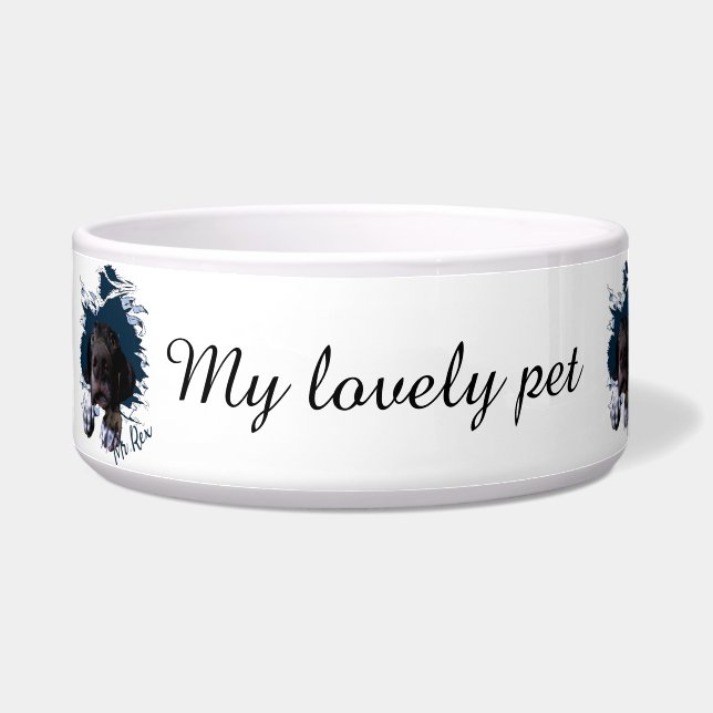 German Shorthaired Pointer,funny face Bandana Bowl (Left)