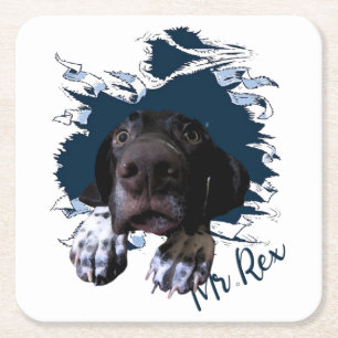 German Shorthaired Pointer,funny face Bandana Square Paper Coaster