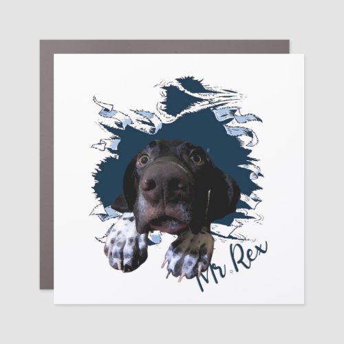 German Shorthaired Pointerfunny face Button Ping  Car Magnet