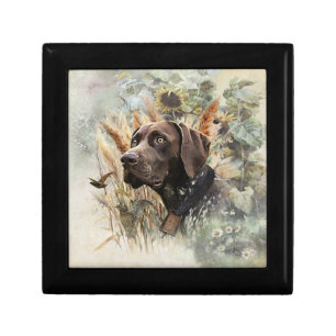 German Shorthaired Pointer Gift Box